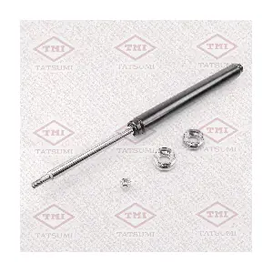 TAA5088 TATSUMI