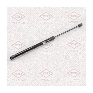 TATSUMI TAF1020