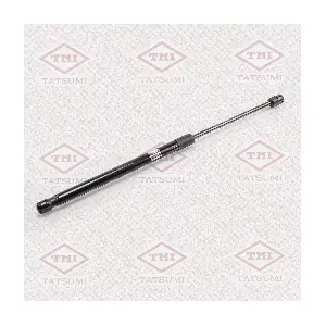 TAF1036 TATSUMI