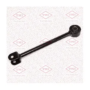 TEE1084 TATSUMI
