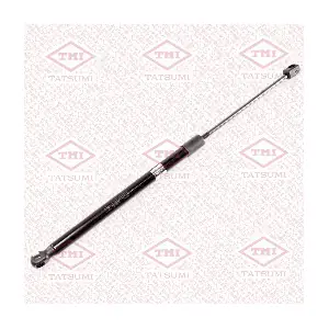 TAF1128 TATSUMI