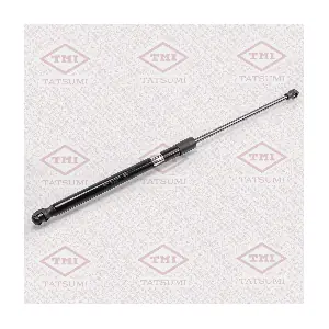 TATSUMI TAF1004