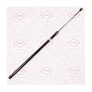 TAF1165 TATSUMI