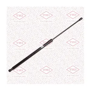 TAF1238 TATSUMI