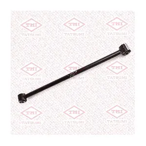 TEE1059 TATSUMI