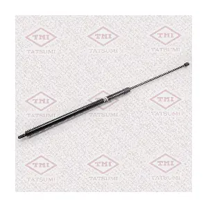 TAF1001 TATSUMI