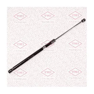 TAF1095 TATSUMI