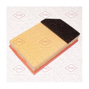 TBC1301 TATSUMI