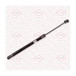 TAF1196 TATSUMI