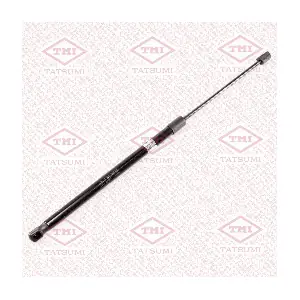 TAF1114 TATSUMI