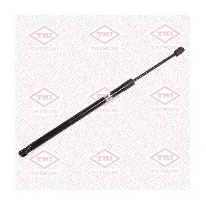 TAF1249 TATSUMI