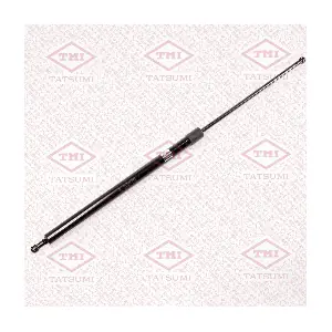 TAF1124 TATSUMI