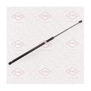 TAF1163 TATSUMI