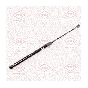 TAF1107 TATSUMI