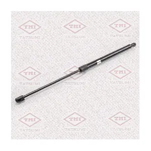 TAF1060 TATSUMI