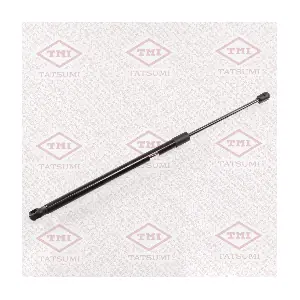 TAF1108 TATSUMI