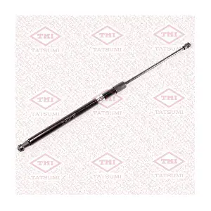 TAF1154 TATSUMI