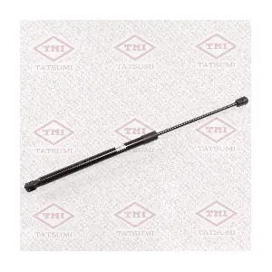 TAF1106 TATSUMI