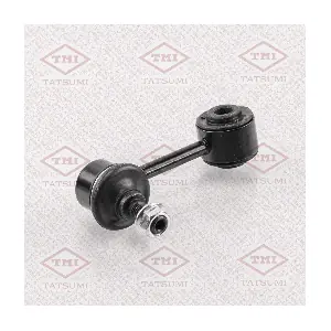 TEB1118 TATSUMI