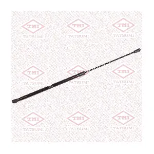 TAF1216 TATSUMI