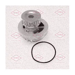 TATSUMI TGF1129