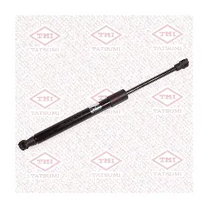 TAF1244 TATSUMI