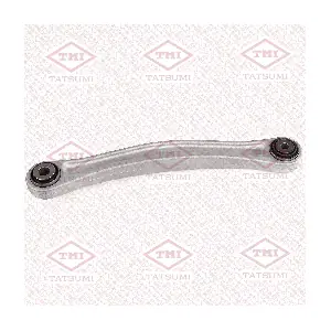 TEE1849L TATSUMI