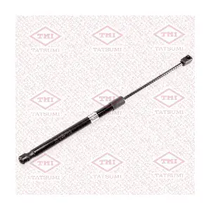TAF1135 TATSUMI