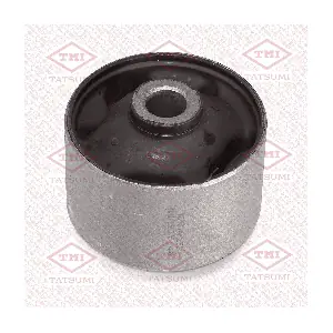 TEF2494 TATSUMI