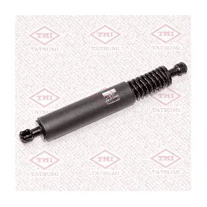 TAF1070 TATSUMI