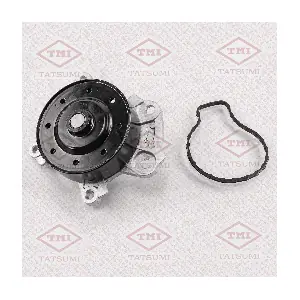 TGF1027 TATSUMI