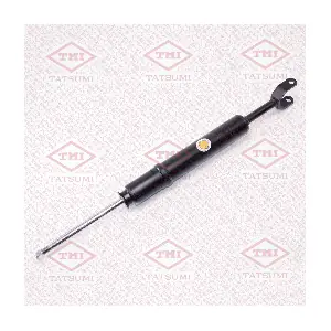 TAA1072 TATSUMI