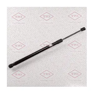 TAF1189 TATSUMI