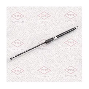 TAF1015 TATSUMI