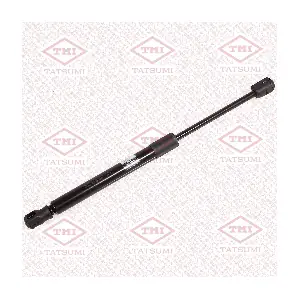 TAF1214 TATSUMI