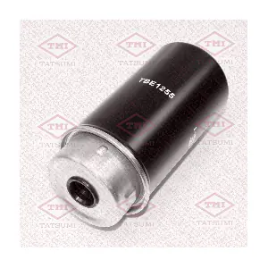 TATSUMI TBE1255