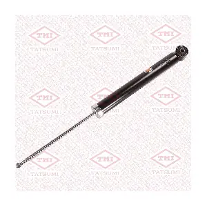 TAA5225 TATSUMI