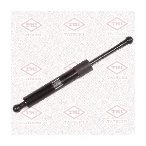 TAF1252 TATSUMI