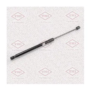 TAF1009 TATSUMI