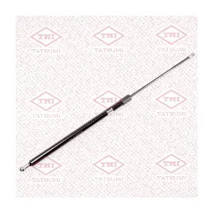 TAF1157 TATSUMI