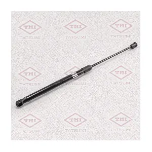 TAF1047 TATSUMI