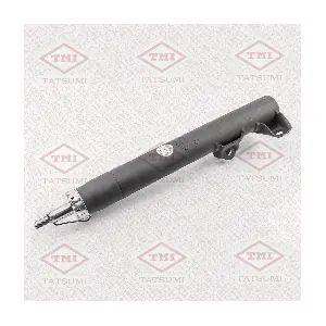 TAA1005 TATSUMI
