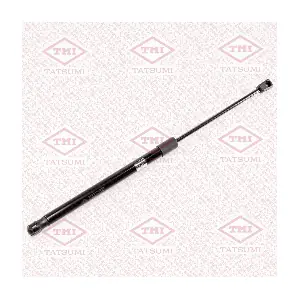 TAF1167 TATSUMI