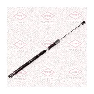 TAF1208 TATSUMI