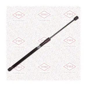 TAF1237 TATSUMI