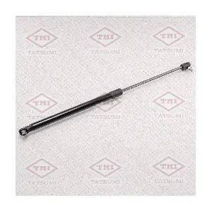 TAF1022 TATSUMI