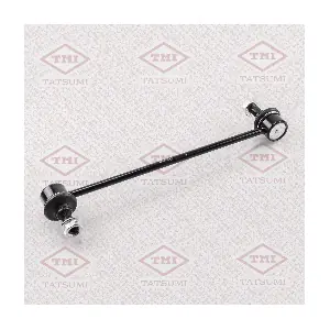 TEB1091 TATSUMI