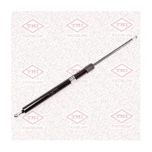 TATSUMI TAF1171