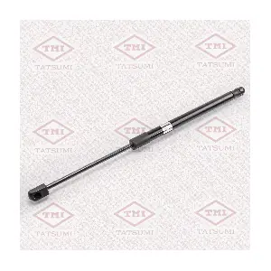 TAF1023 TATSUMI
