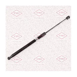 TAF1096 TATSUMI